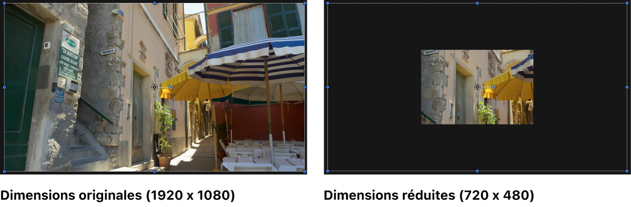 Canevas affichant des dimensions réduites