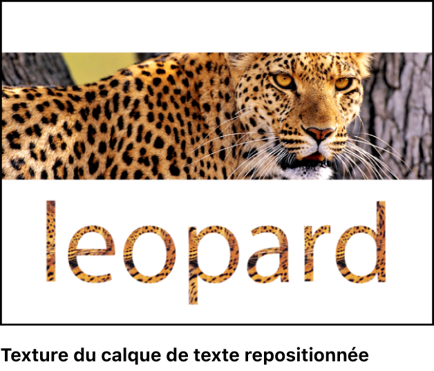 Canevas affichant du texte dans lequel la texture est repositionnée