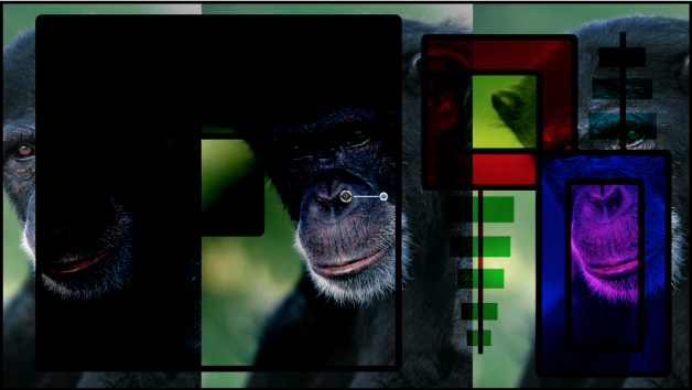 Canevas affichant les boîtes et le singe fusionnés à l’aide du mode Densité linéaire +