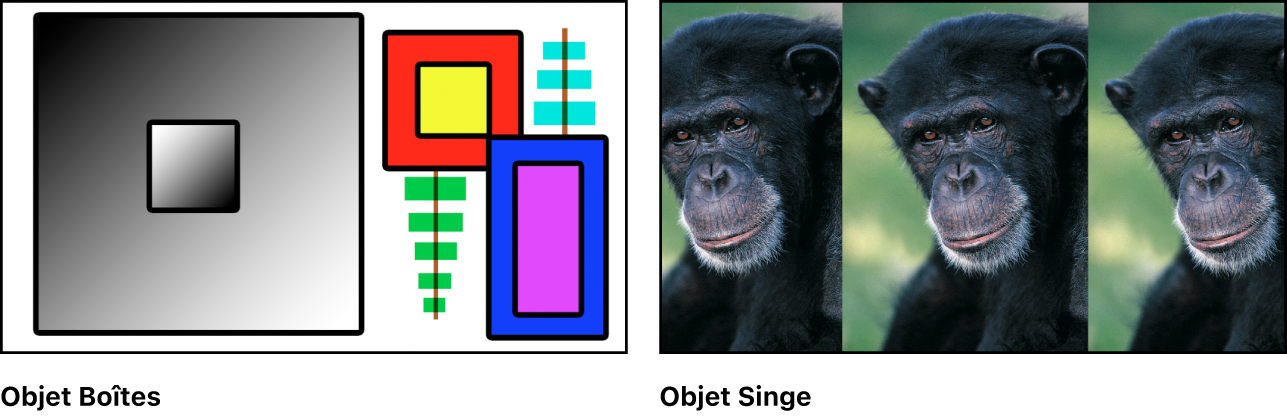 Deux images sources : une collection de boîtes de couleur et la photo d’un singe