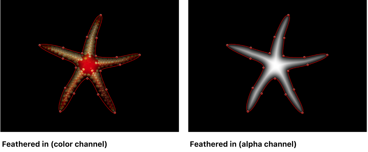 显示在颜色和 Alpha 通道视图中都向内羽化的蒙版的画布
