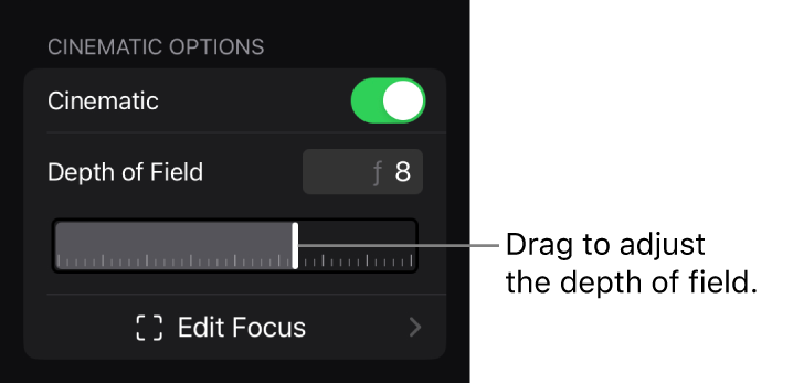 The Cinematic Options section of the inspector, showing the Depth of Field slider.