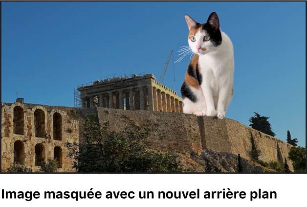 Le plan de premier plan masqué superposé sur l’image du plan d’arrière-plan.