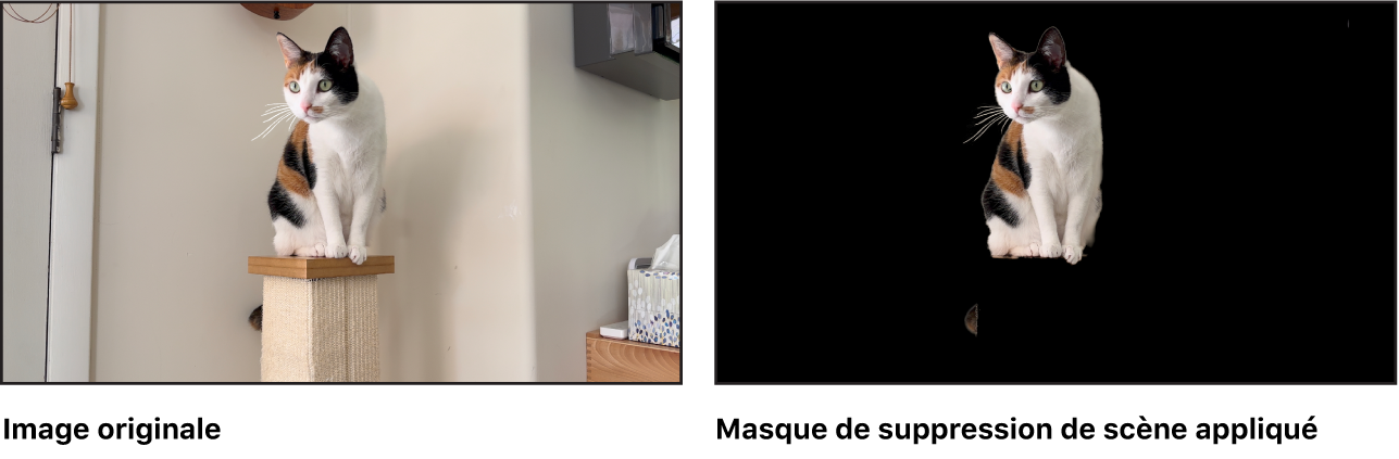 Une comparaison côte à côte de l’image originale et de l’image après l’application du masque de suppression de scène.