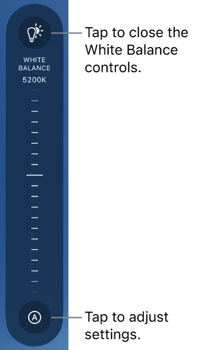 「ホワイトバランス」ダイヤル。下部に「自動」ボタンがあります。