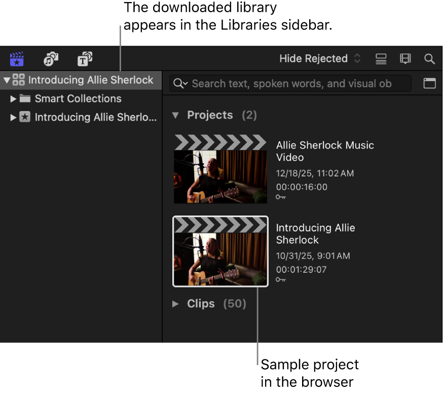 A library selected in the Libraries sidebar and two projects in the browser