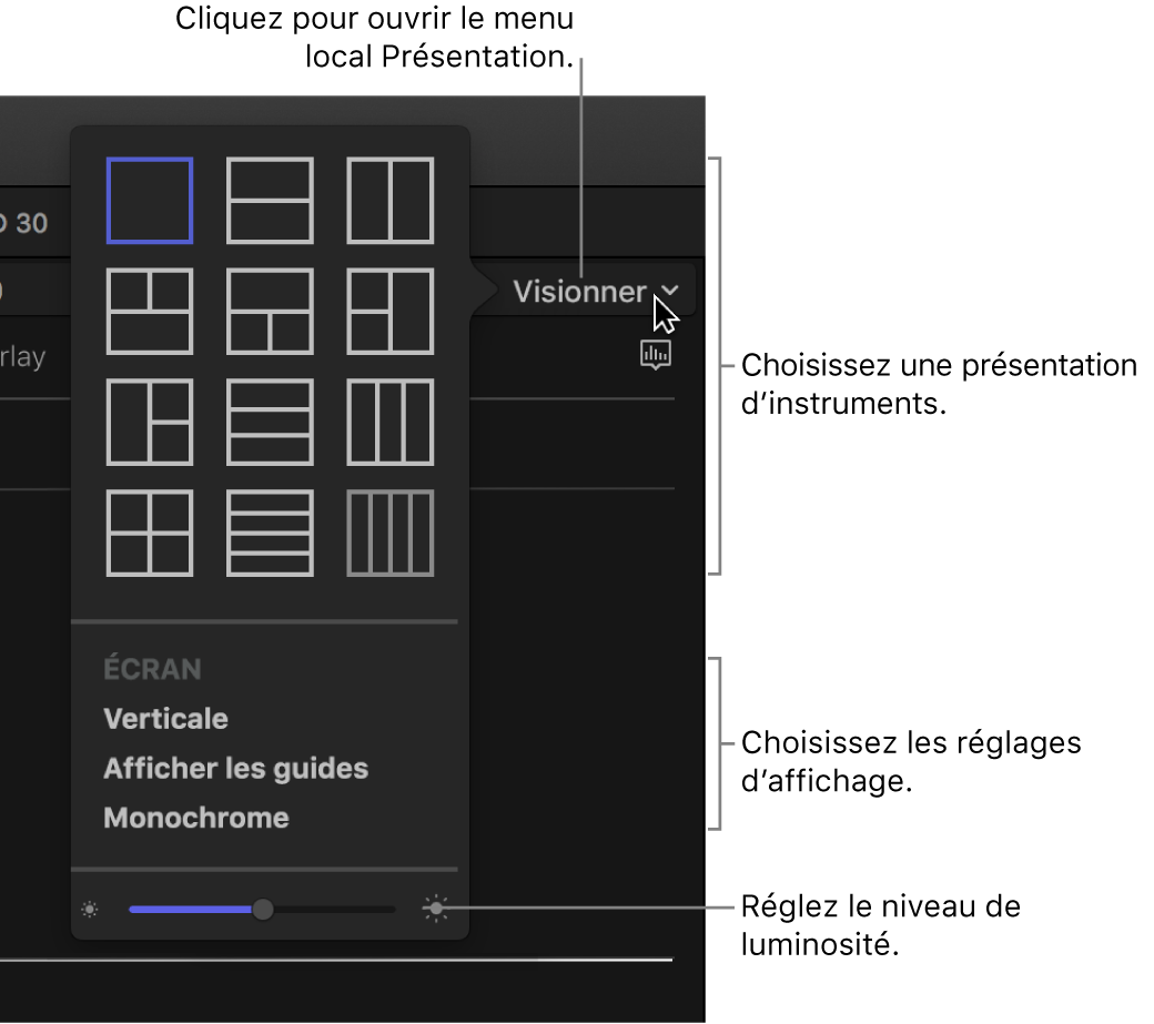 Options du menu local Présentation au-dessus de l’affichage des instruments vidéo
