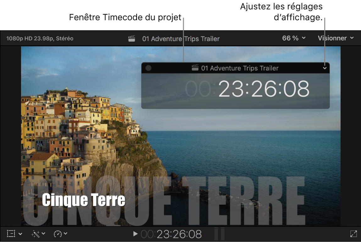 Fenêtre du timecode du projet placée sur le visualiseur, avec le timecode du projet au niveau de la tête de lecture
