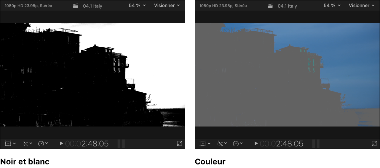 Plans côte à côte du visualiseur montrant l’image de canal alpha en noir et blanc à gauche et les zones visibles de l’image masquée en couleur à droite