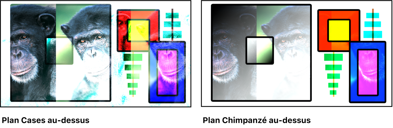 Deux versions des images de boîtes et de chimpanzé fusionnées à l’aide du mode de fusion Densité couleur, l’une montrant le plan de boîtes au-dessus et l’autre montrant le plan de chimpanzé au-dessus