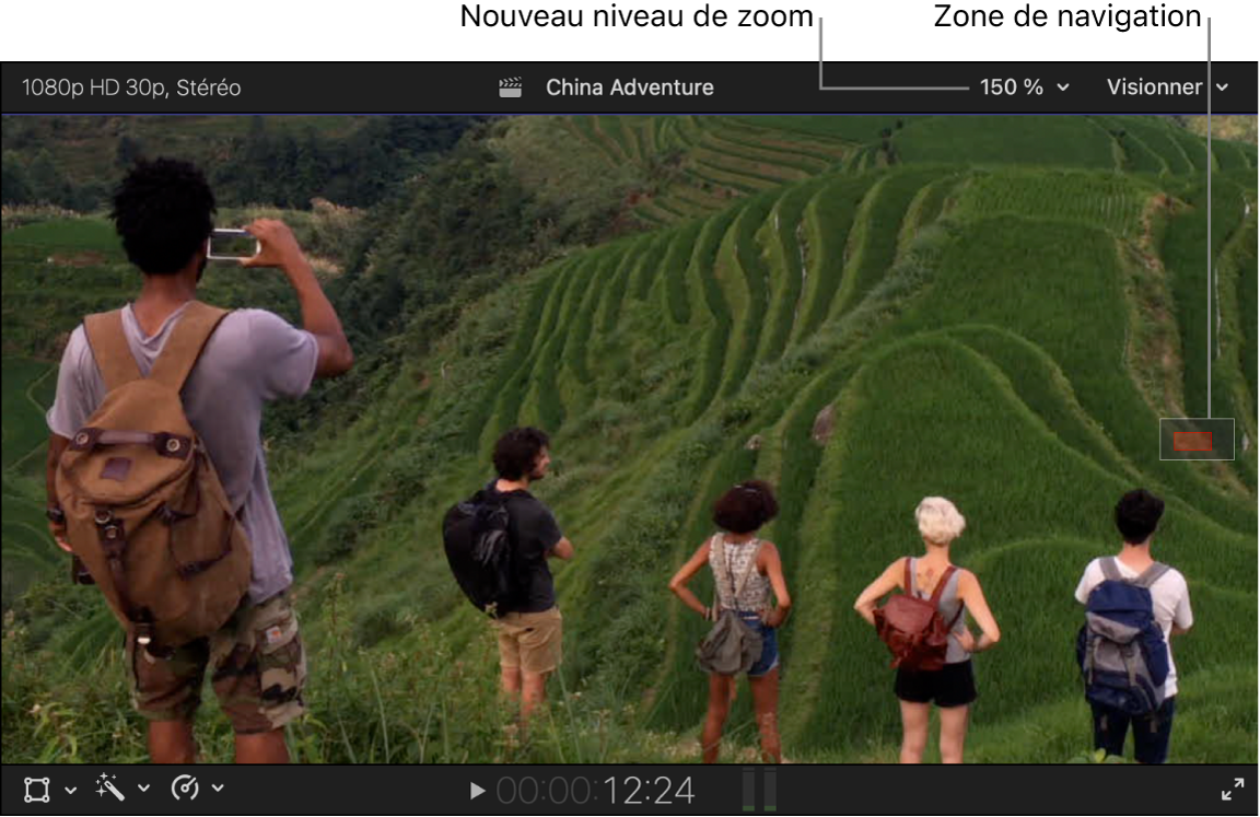 Le niveau de zoom est défini sur 150 % et la zone de navigation affichant la partie de l’image qui est visible dans le visualiseur