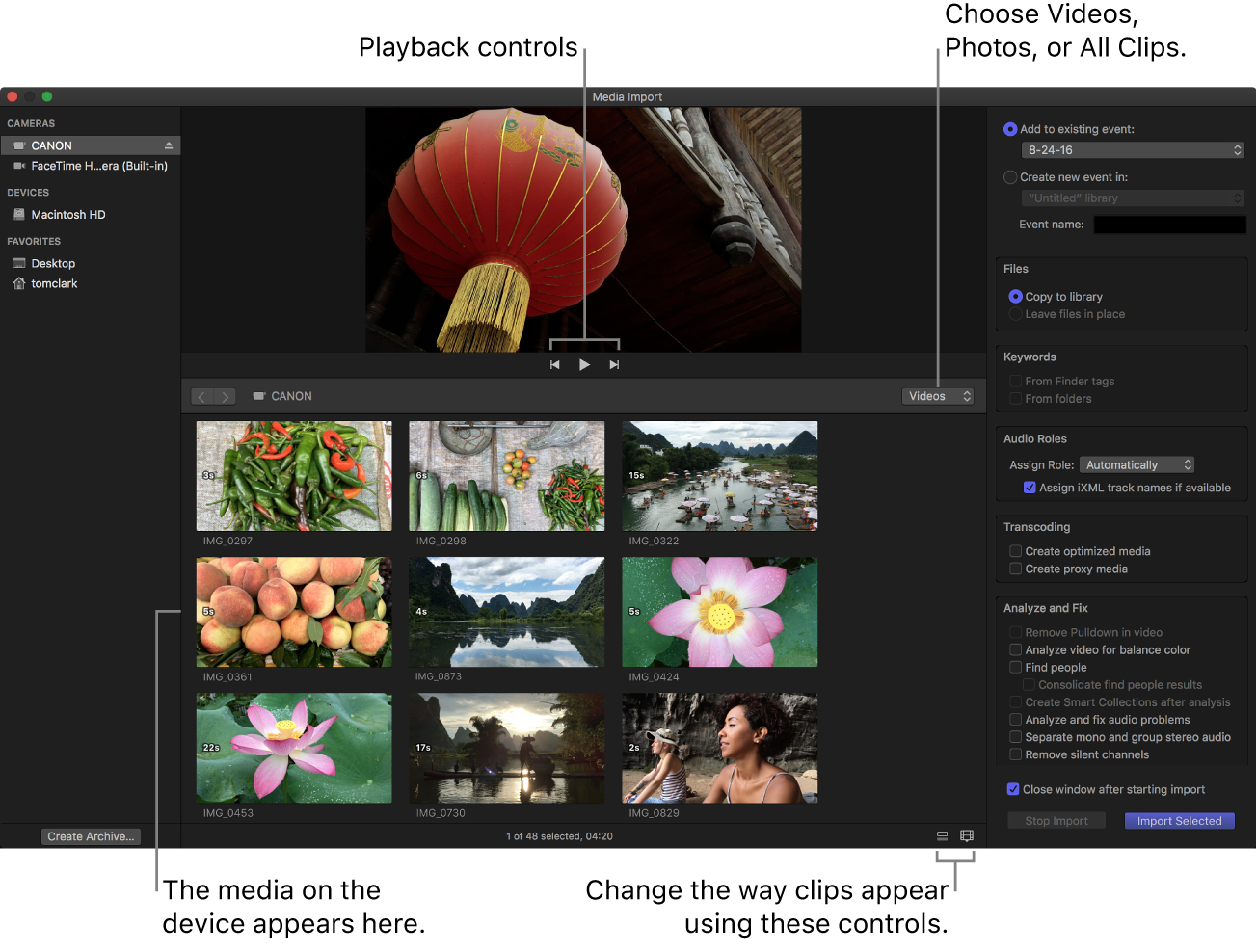 “媒体导入”窗口,显示连接的设备上的媒体