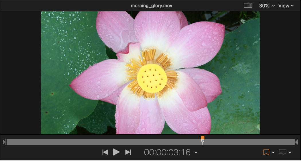 The preview area of Compressor showing a marker added to the timeline.