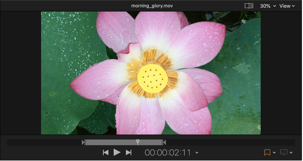 The preview area of Compressor showing In and Out points on the timeline.