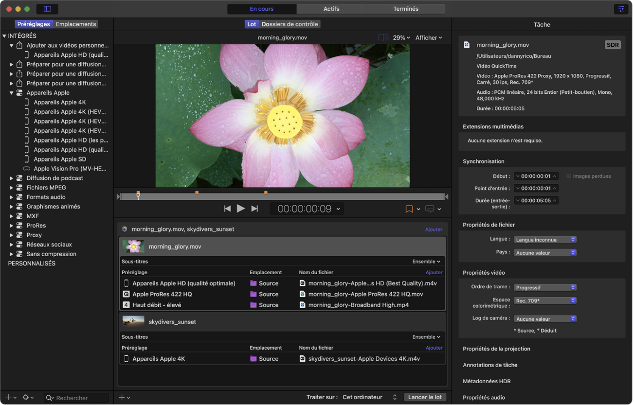 Fenêtre Compressor avec une tâche sélectionnée dans la zone du lot.