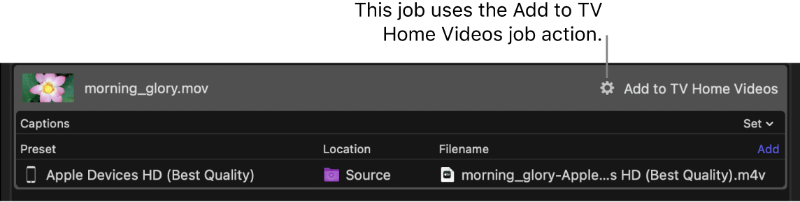 Compressor 中的作业,已应用“添加到电视本地视频”作业操作。