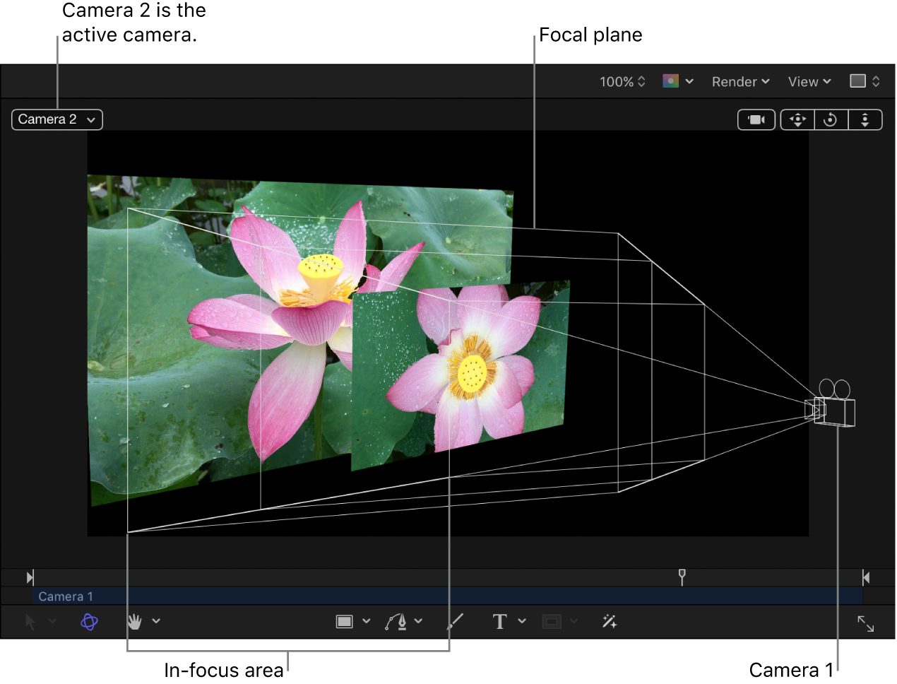Canvas showing camera’s focal plane and in-focus area