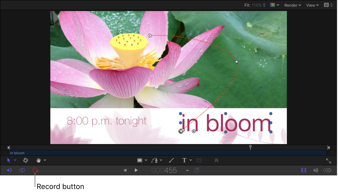 Canvas showing active Record button and an animated object