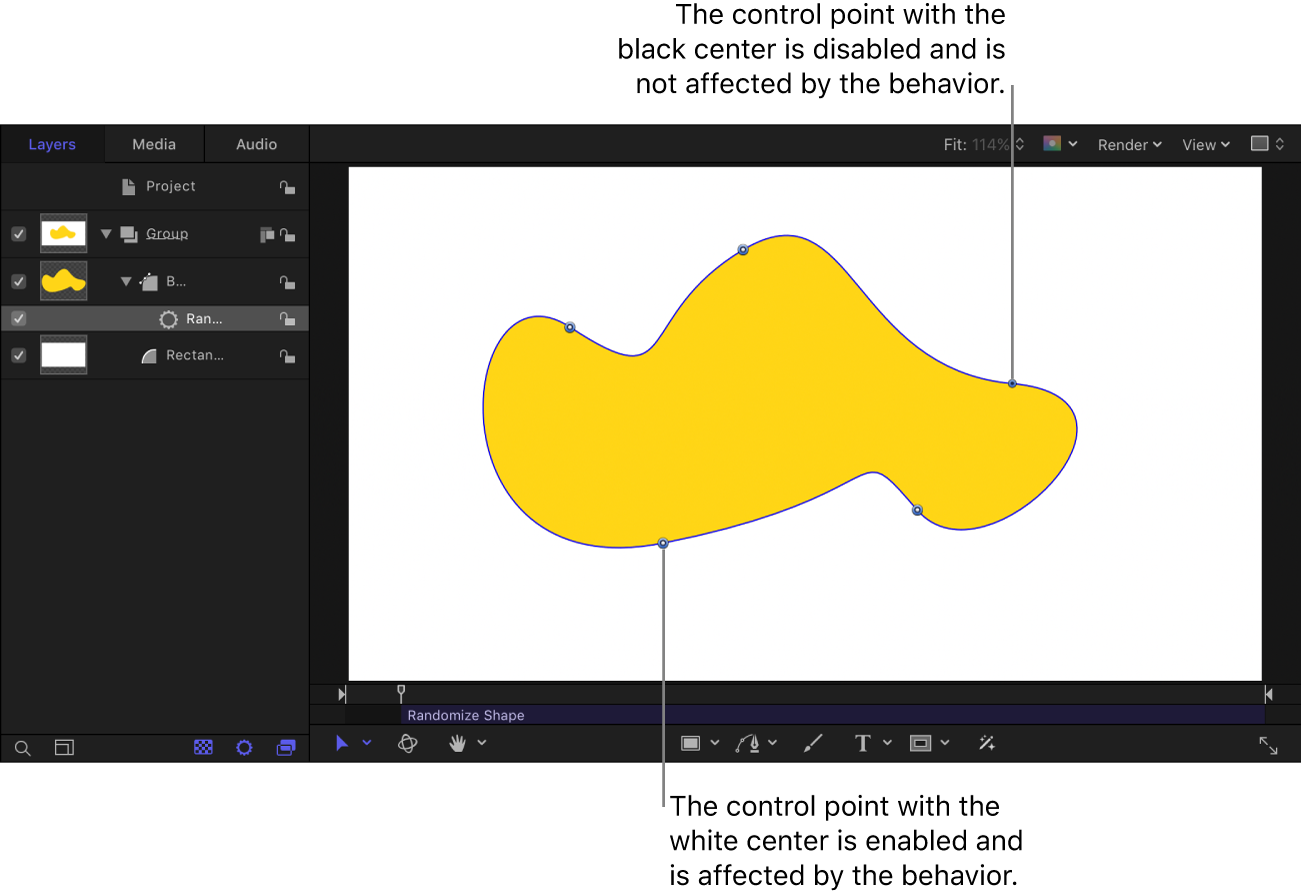Canvas showing shape with Randomize Shape behavior applied