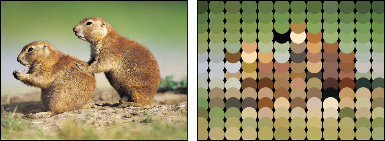 Canevas affichant un réplicateur défini sur « Prendre la couleur de l’image »