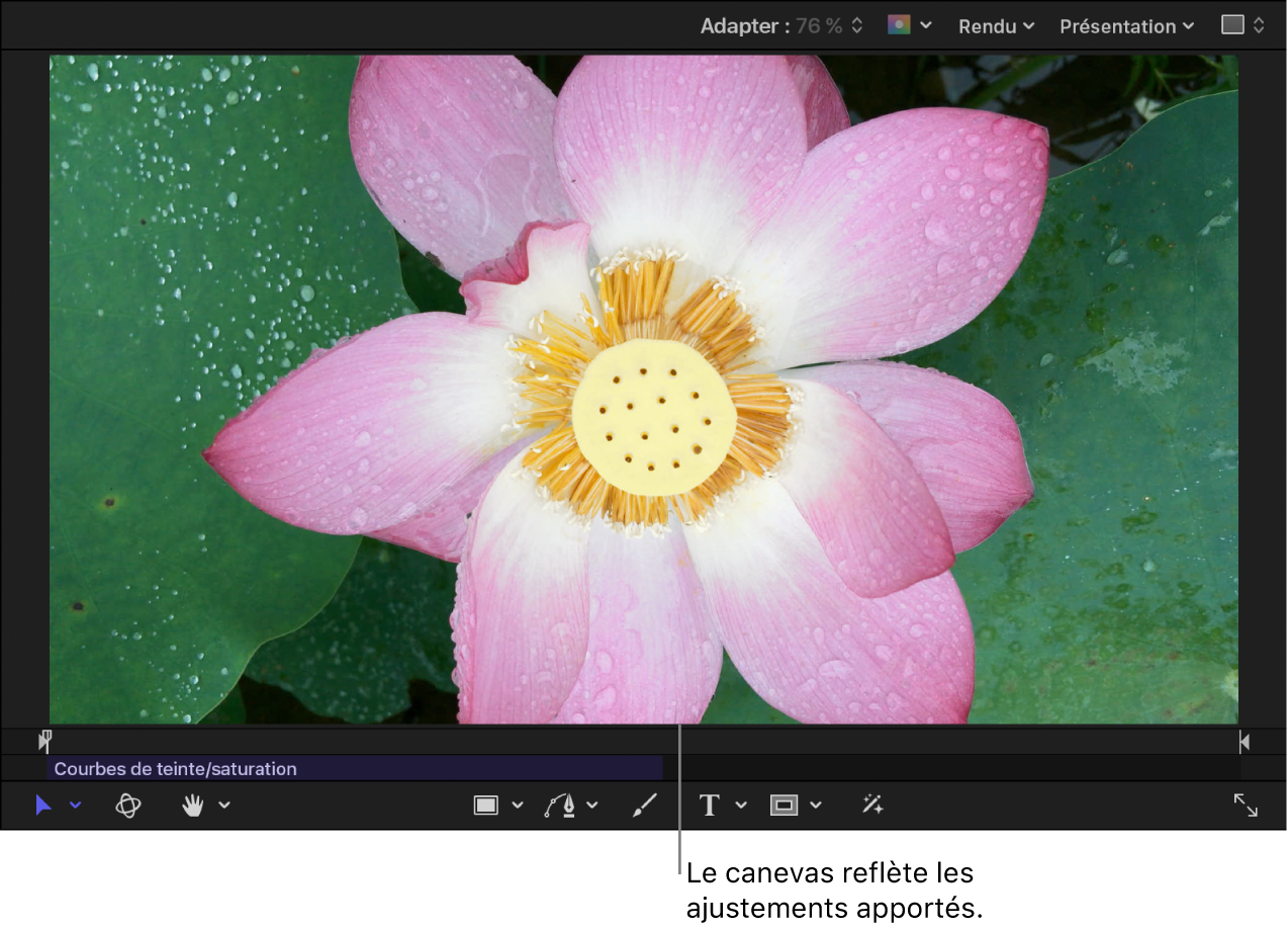 Canevas montrant le changement de saturation