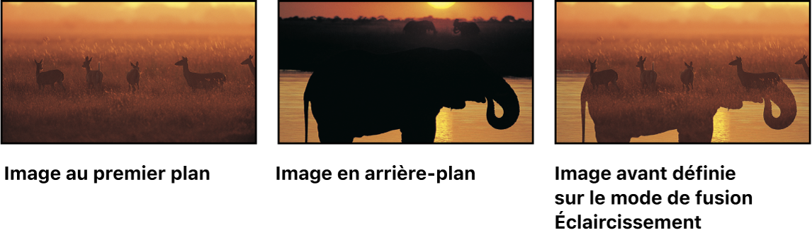 Canevas affichant deux calques fusionnés à l’aide du mode de fusion Éclaircir