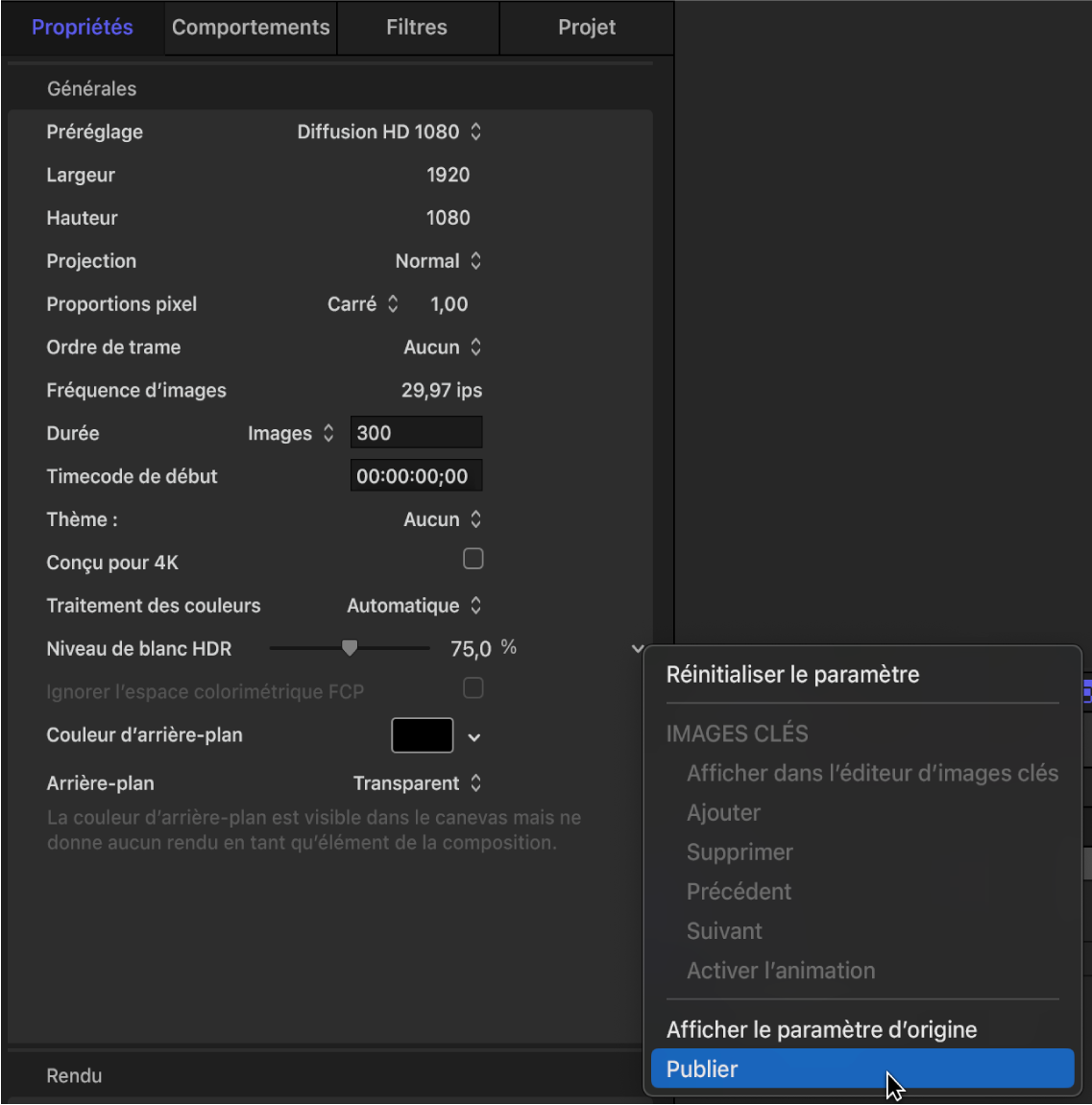 Inspecteur des propriétés du projet montrant la publication du curseur « Niveau de blanc HDR »