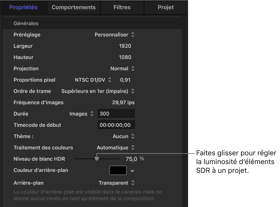 Inspecteur des propriétés du projet montrant la curseur « Niveau de blanc HDR ».