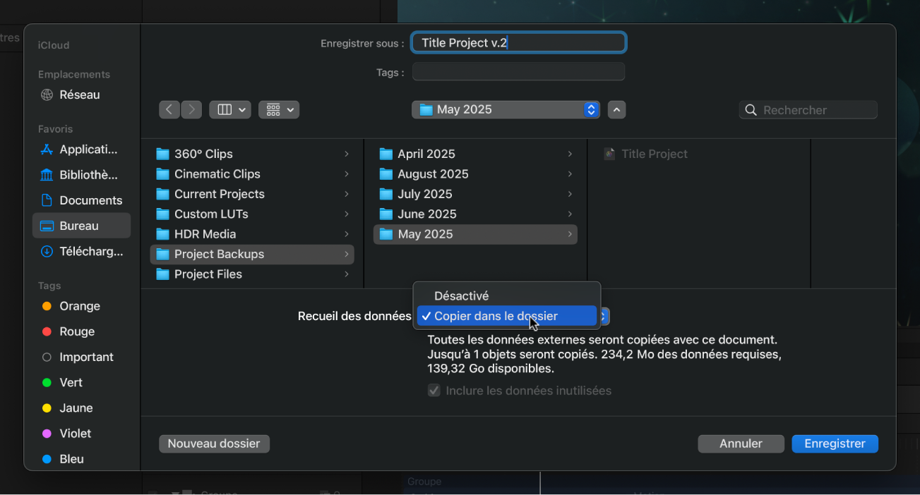 Zone de dialogue d’enregistrement affichant les options du menu local Recueil des données