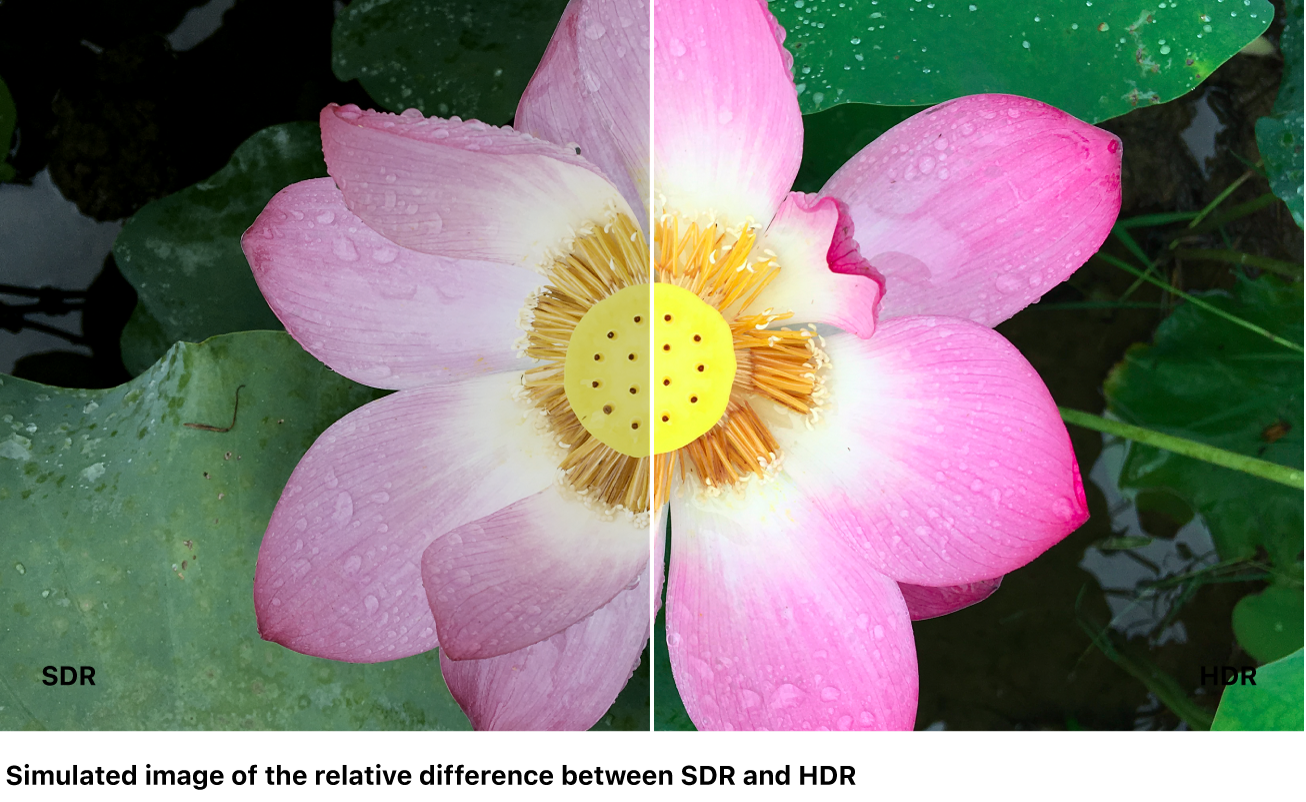 SDRとHDRを比較している画面分割イメージのシミュレーション。