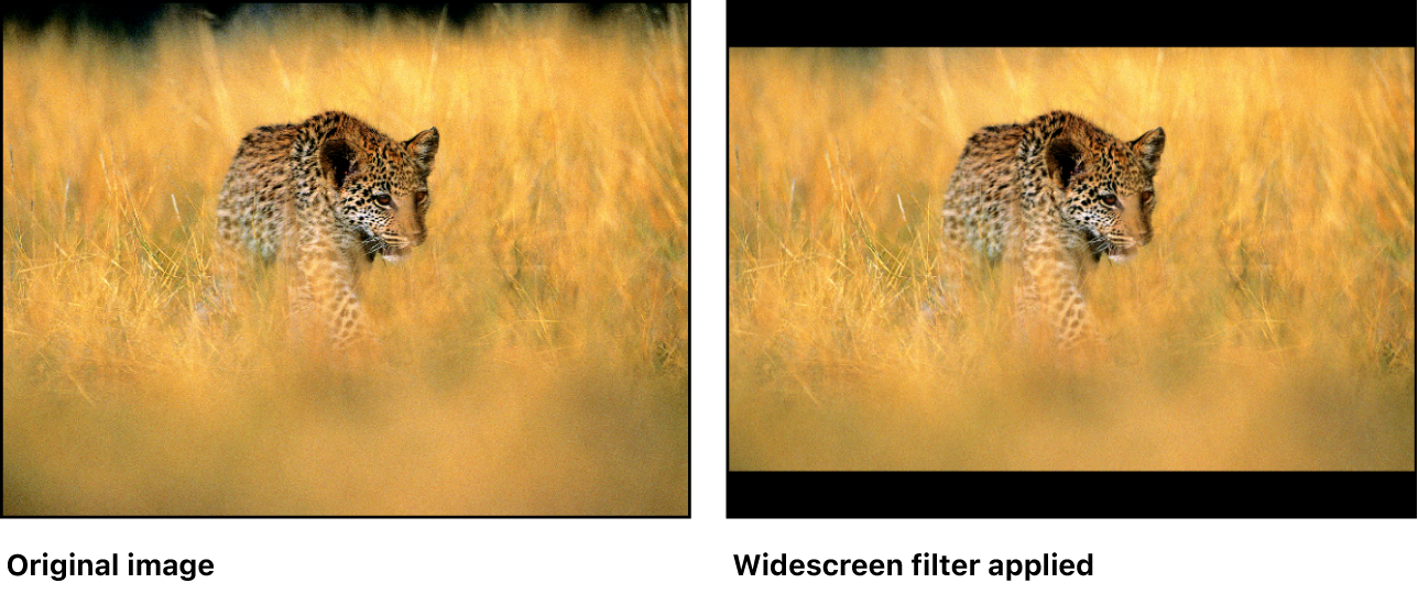 显示“宽屏幕”滤镜效果的画布