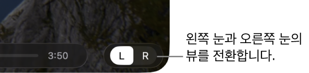 왼쪽 눈 보기와 오른쪽 눈 보기 간에 전환하는 Mac의 Apple Immersive Video 유틸리티에 있는 제어기.