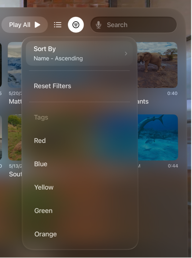 Apple Vision Pro 上 Apple 沉浸视频实用工具中的排序和过滤选项,带有可用于排序、还原过滤和按标签过滤的选项。