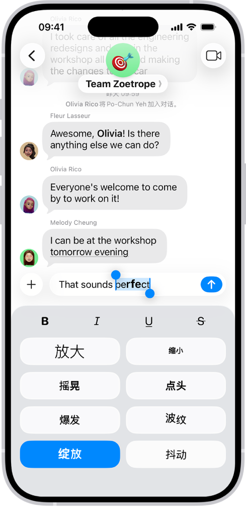 “信息”对话的文本栏中已选中一条新信息，其下方显示格式和效果选项。所选文本显示了效果预览。