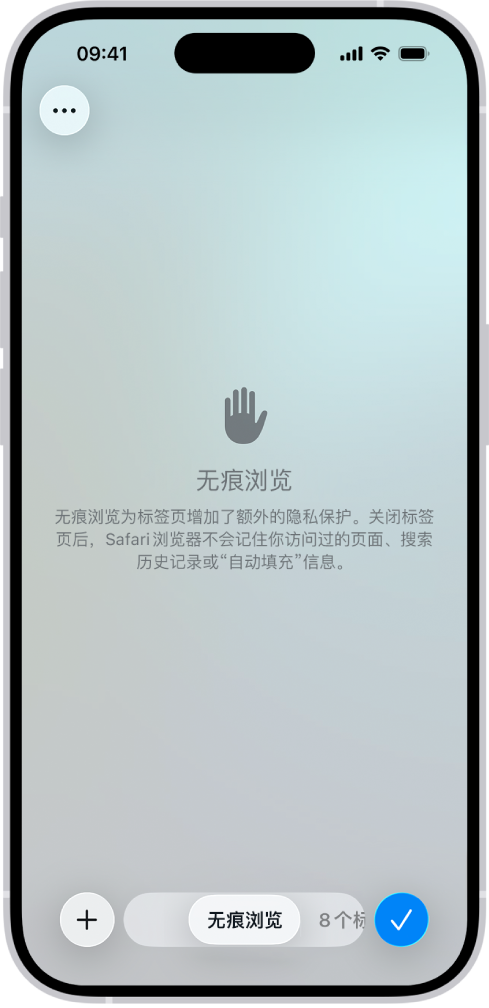 Safari 浏览器 App 中的无痕浏览屏幕。屏幕底部的栏中显示“无痕浏览”字样。