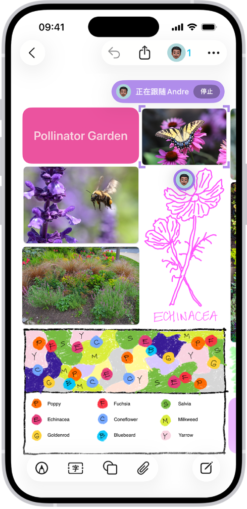 iPhone 上打开的“无边记” App。看板上包括手写内容、文本、绘图、形状、照片、视频、便笺条、链接和其他文件。