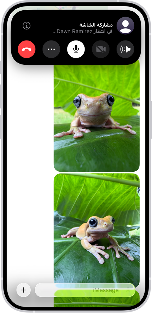 طلب معلق لمشاركة شاشة في الرسائل.