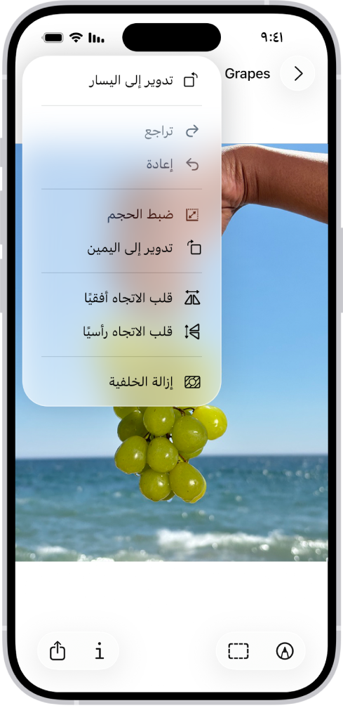 شاشة تعرض صورة تحتوي على عنب في المقدمة. تظهر قائمة خيار إزالة الخلفية. في أسفل الشاشة توجد أزرار توصيف واقتصاص والمعلومات ومشاركة.