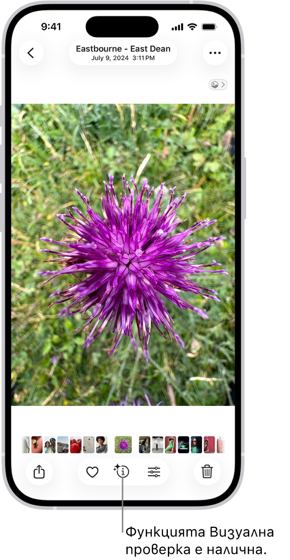 Отворена е снимка в приложението Снимки. В долната част на екрана бутонът Инфо показва иконка, която посочва, че е налична информация от Визуално търсене.