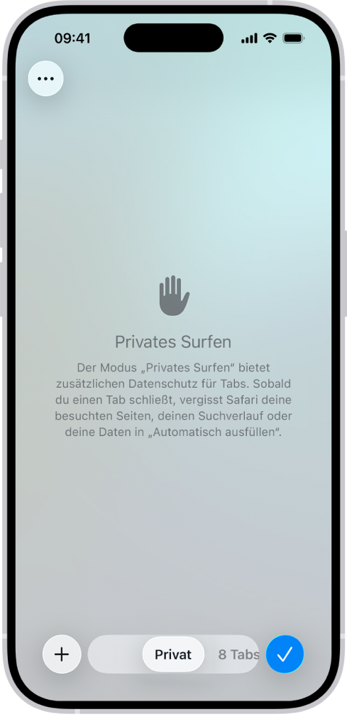 Ein privater Browsingbildschirm in der App „Safari“. Das Wort „Privat“ erscheint im Feld unten auf dem Bildschirm.