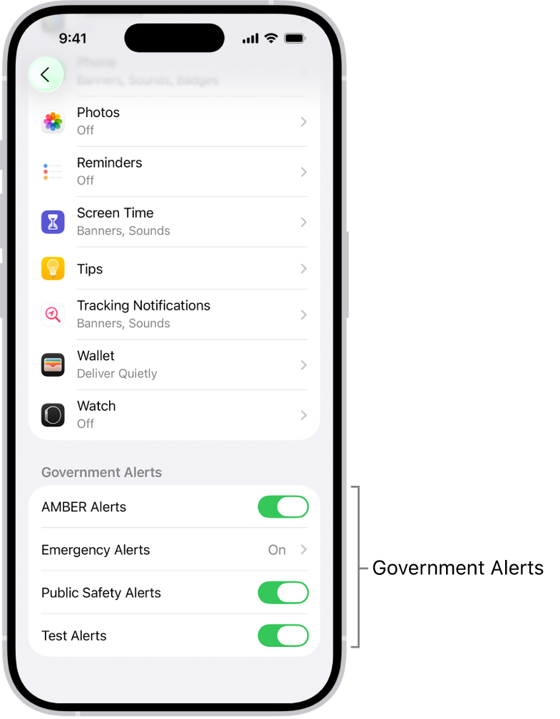 The Notifications screen, showing the Government Alerts you can turn on to receive government alerts.