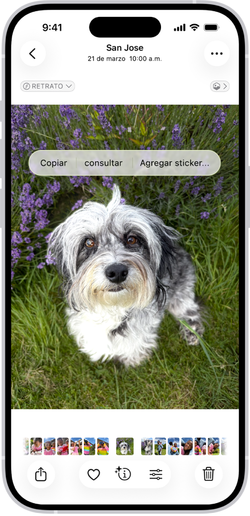 La app Fotos está abierta y muestra una foto de un perro. El perro se selecciona y la opción Agregar sticker está disponible en el menú de arriba.