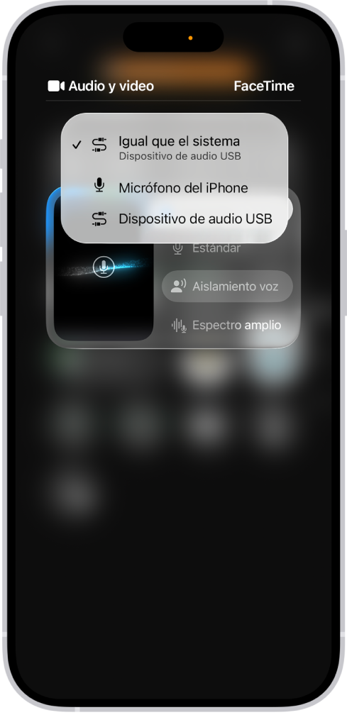 Los controles para elegir una fuente de entrada de audio para una llamada de FaceTime.