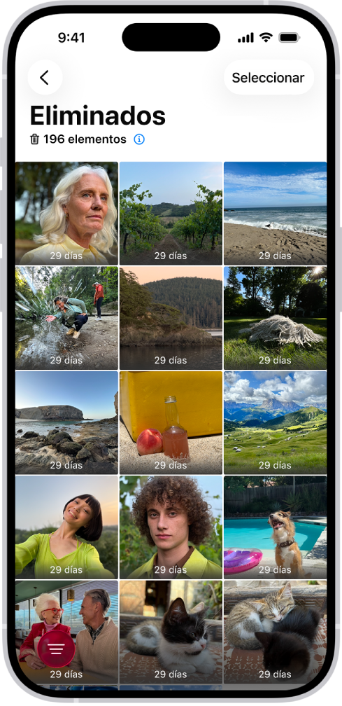 La carpeta Eliminado de la app Fotos. Las fotos eliminadas recientemente aparecen en una disposición de cuadrícula en la pantalla.