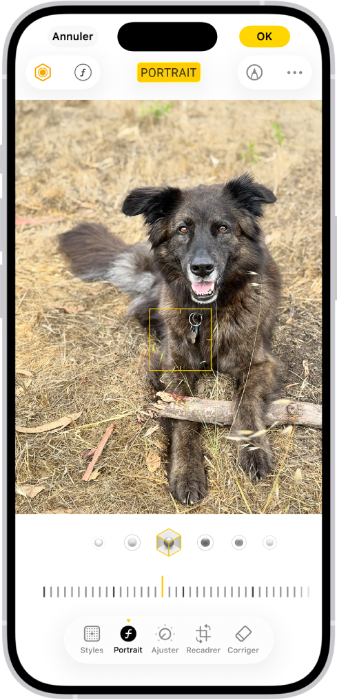 L’écran Modifier de l’app Photos avec un portrait au centre de l’écran. Sous la photo figurent les options d’éclairage de portrait. L’option « Éclairage de studio » est sélectionnée. En dessous, un curseur permet de régler le niveau de l’effet. En bas de l’écran, de gauche à droite, se trouvent les boutons Portrait, Ajuster, Filtres et Recadrer. Le bouton Portrait est sélectionné.