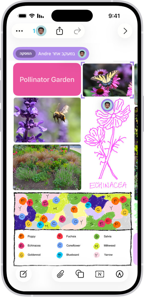 היישום Freeform פתוח ב-iPhone. הלוח כולל כתב יד, מלל, ציורים, צורות, תמונות, סרטונים, פתקים נדבקים, קישורים וקבצים נוספים.