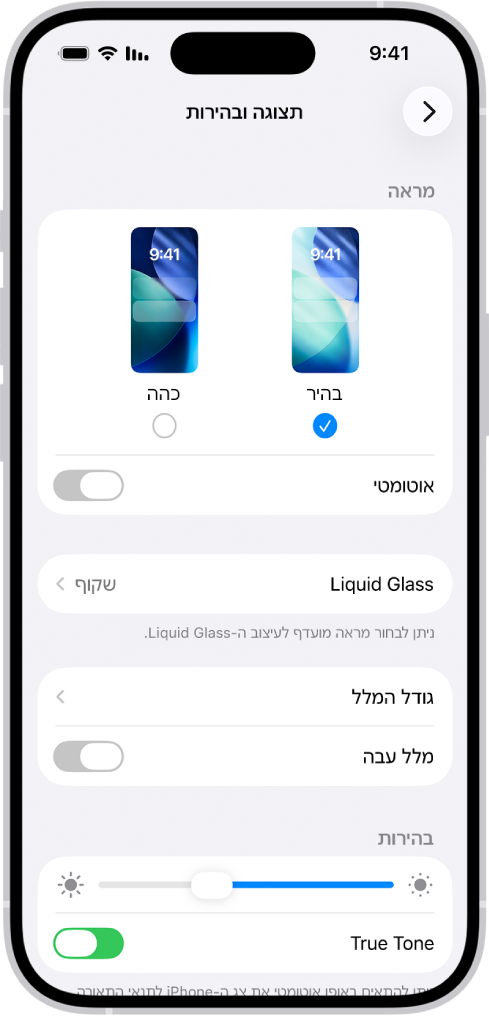 מסך ״תצוגה ובהירות ב״הגדרות״.