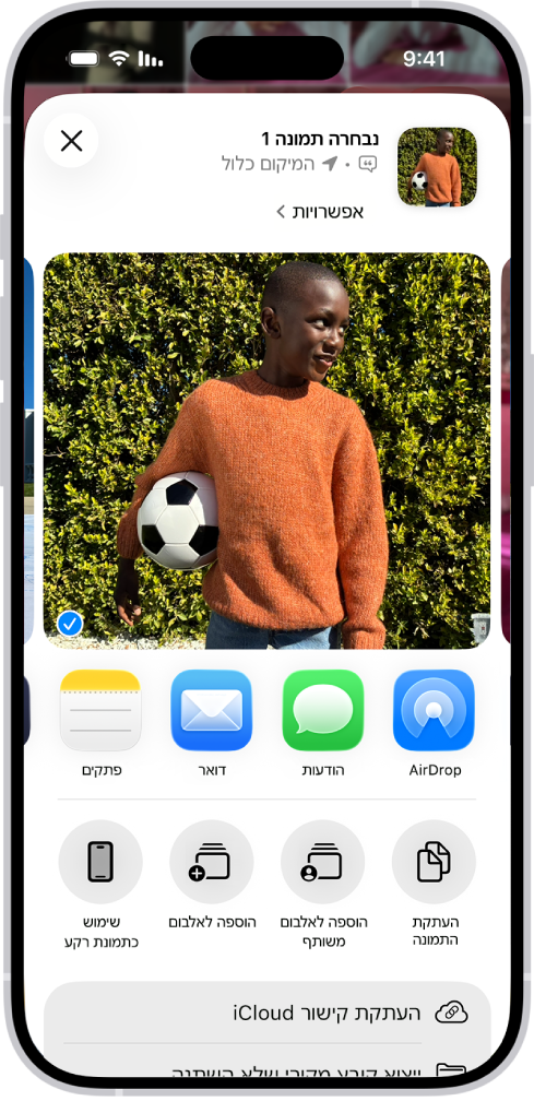 תמונה נבחרת מוצגת בחצי העליון של מסך ה‑iPhone ומתחתיה שורה של אפשרויות שיתוף. אפשרויות נוספות מופיעות מתחת, כולל ״העתקת התמונה״, ״הוספה לאלבום משותף״, ״הוספה לאלבום״ ו״שימוש כתמונת רקע״.
