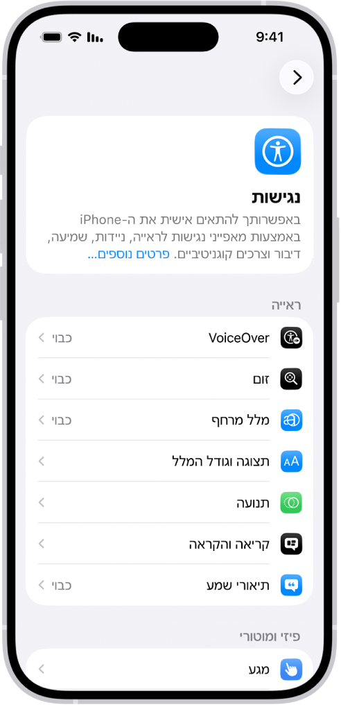 המסך ״נגישות״ ב״הגדרות״ המציג את המאפיינים המובנים לתמיכה ב״ראייה״.