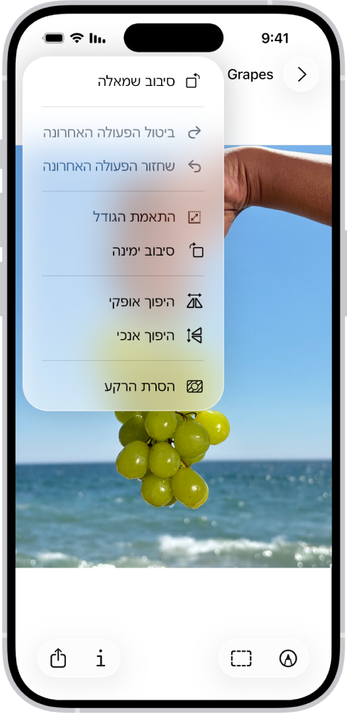 מסך שמציג תמונה עם ענבים בחזית. בתפריט שמוצג רואים את האפשרות ״הסרת הרקע״. בתחתית המסך מופיעים הכפתורים ״סימון״, ״חיתוך״ ״מידע״ ו״שיתוף״.